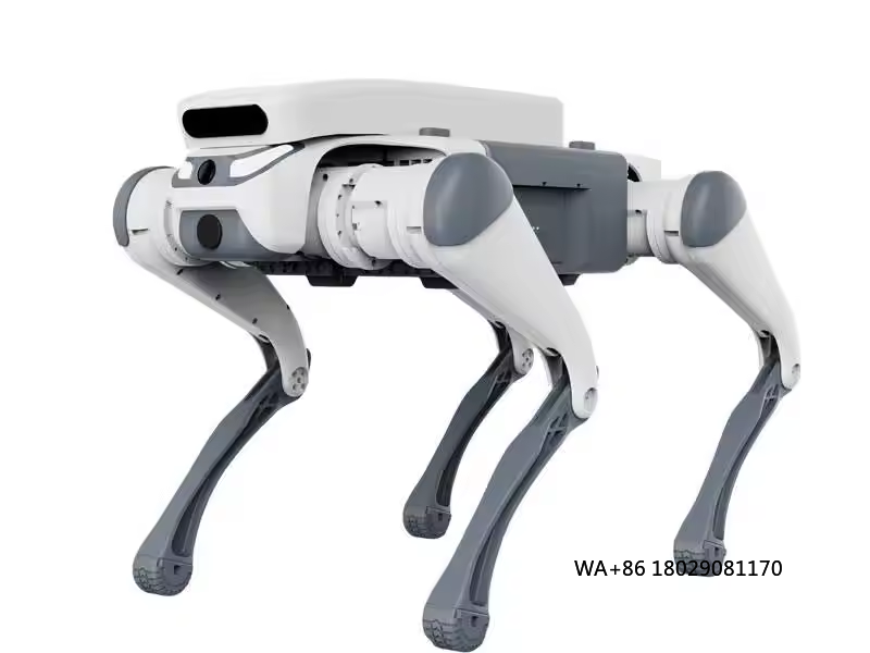 stunt afstandsbediening educat - Robot Remote Control recensie en prijs