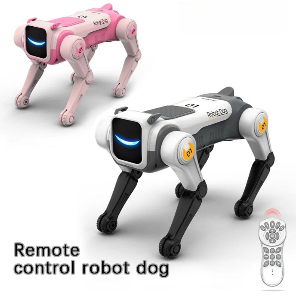 Slimme op afstand bestuurbare  - Robot Remote Control recensie en prijs
