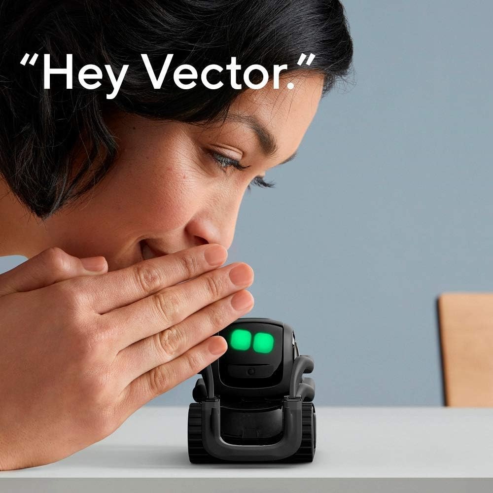 AI ChatGPT 2.0 Verbonden Robot - Robot Remote Control recensie en prijs