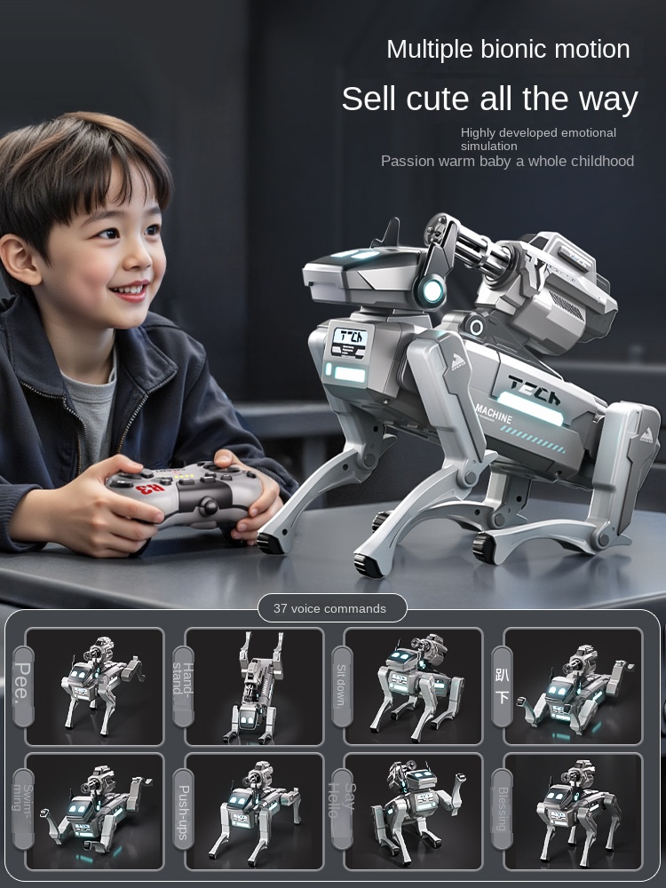 Controle met borstelloze motor - Robot Remote Control recensie en prijs