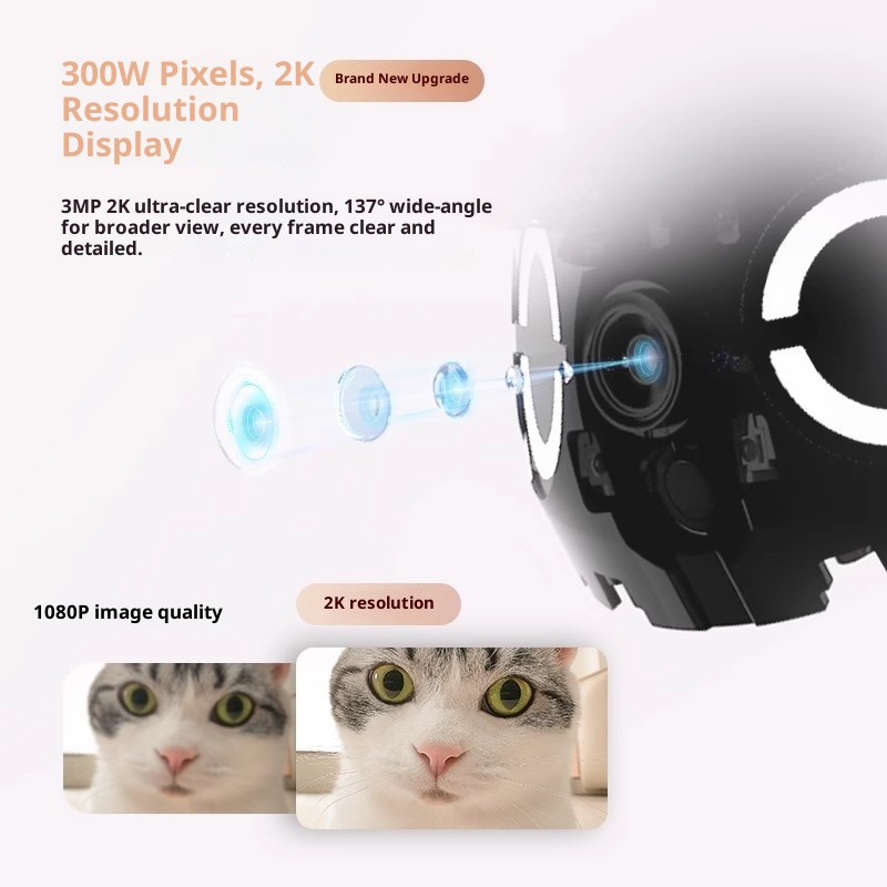 Enabot ROLA Mini Smart Robot I - Ros Robot recensie en prijs