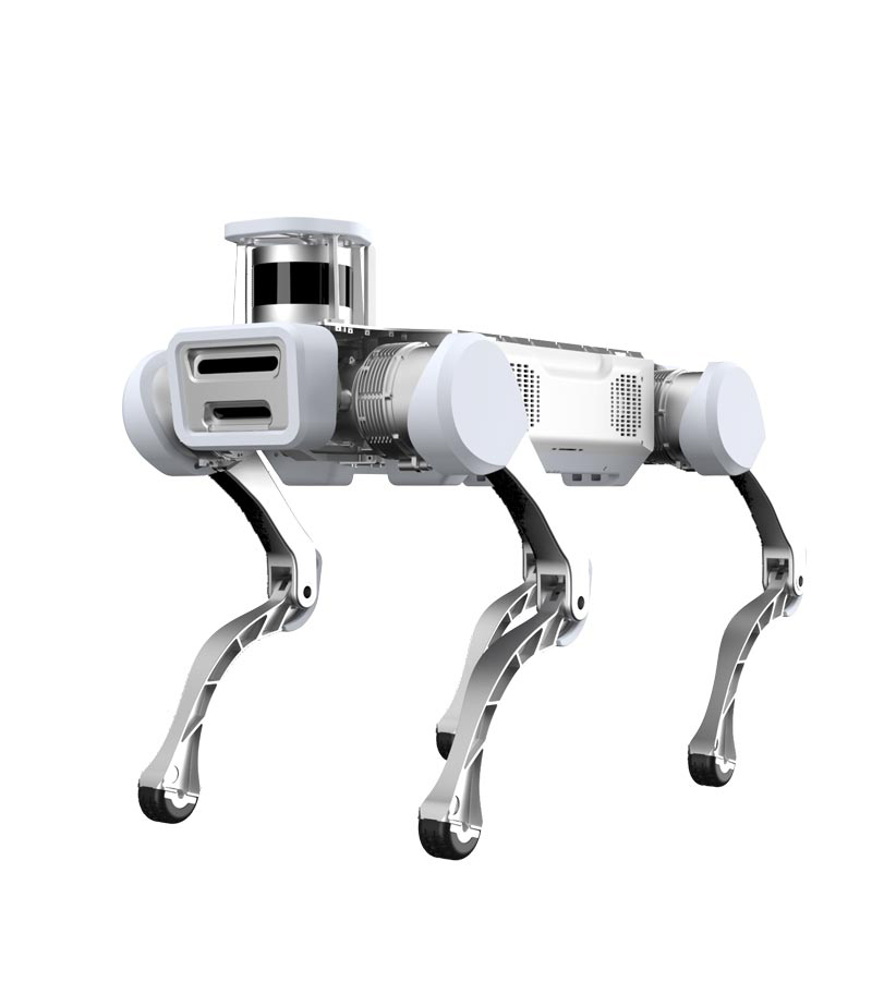 Kunstmatige intelligentie bere - Robot Remote Control recensie en prijs