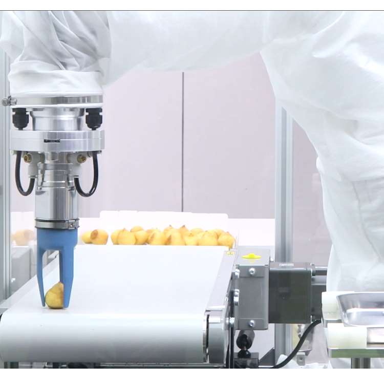 6-assige CNC-robotarm met line - Robot Gripper recensie en prijs
